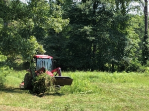 Read more about the article Mowing