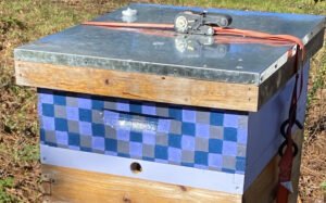 Simple Quilt Boxes for Toasty and Happy Bees